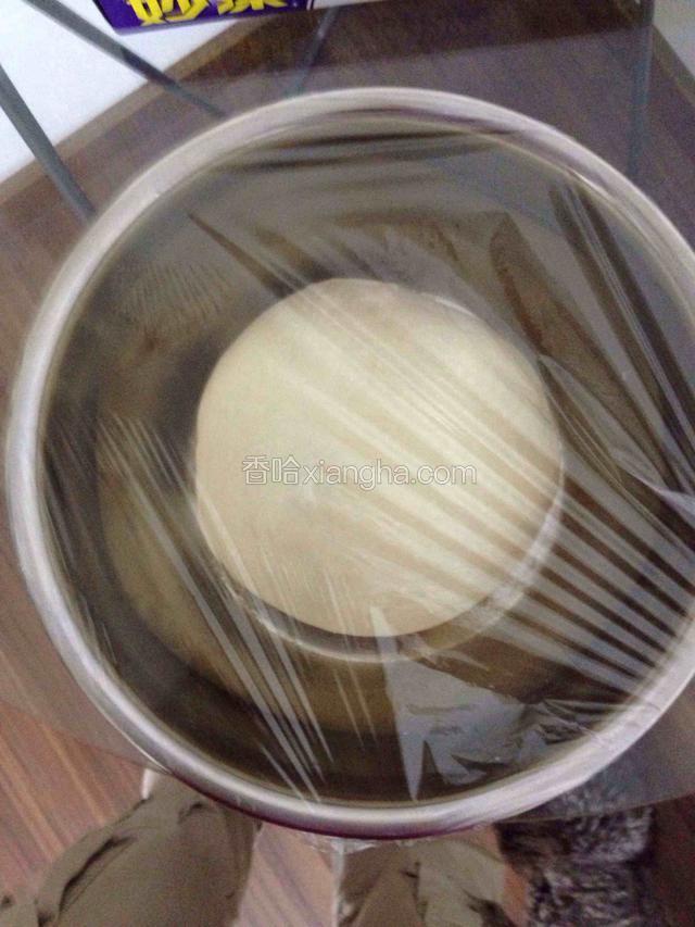 放入盆中盖上保鲜膜