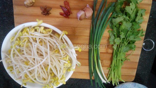 把所需食材准备好，豆芽去除根头