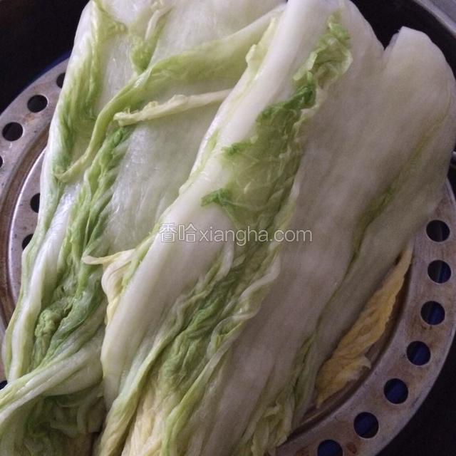 清洗白菜，控干水分；