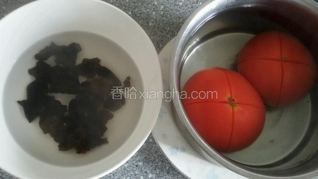 西红柿和木耳用开水泡上。