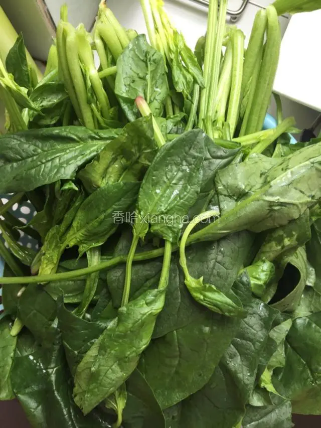 菠菜洗干净备用