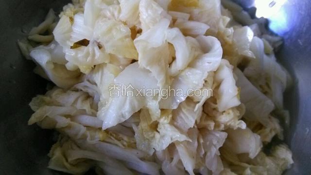 泡白菜  切好备用