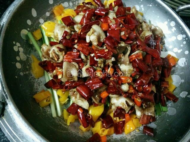 火爆汇鱼肚