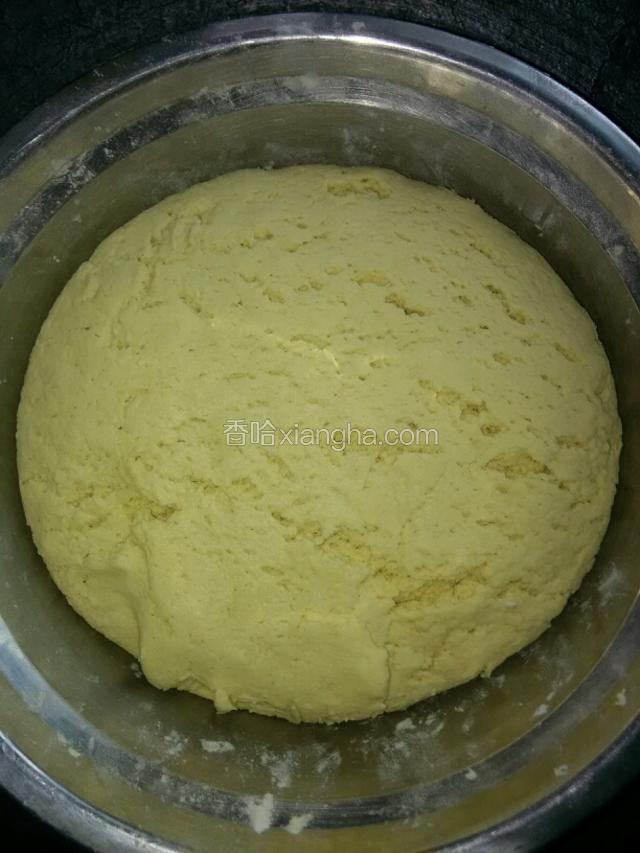 将合好的面团发酵三十分钟