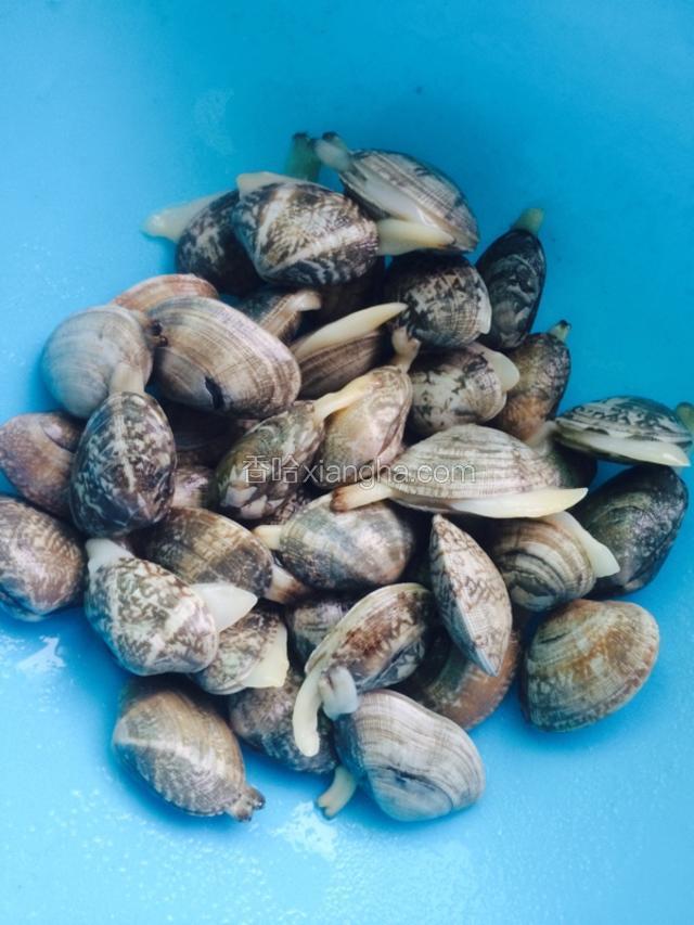 鲜活花甲一斤