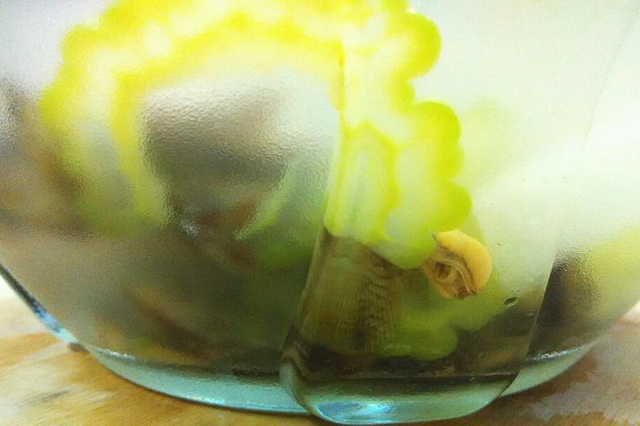 清凉薄壳苦瓜汤