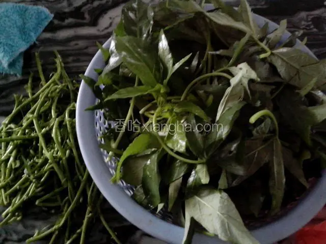 把蕃薯苗的颈和筋抽出来