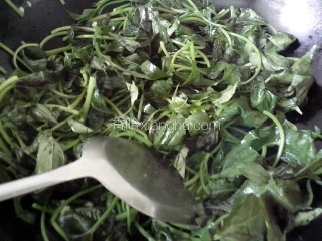 再倒入番薯苗快速翻炒，炒熟加入盐即可。
