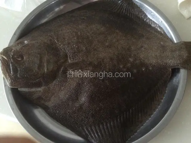 新鲜多宝鱼一条；
