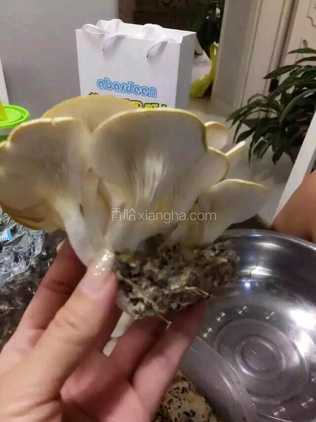 准备蘑菇大概250g