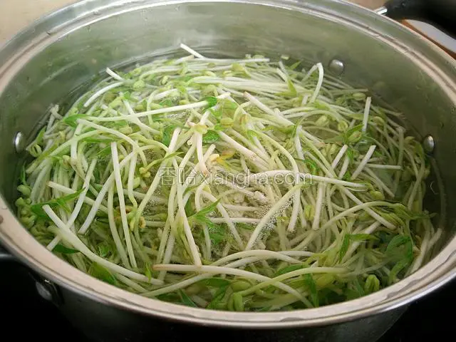将锅里的水烧开后放入绿豆芽焯水1分钟左右