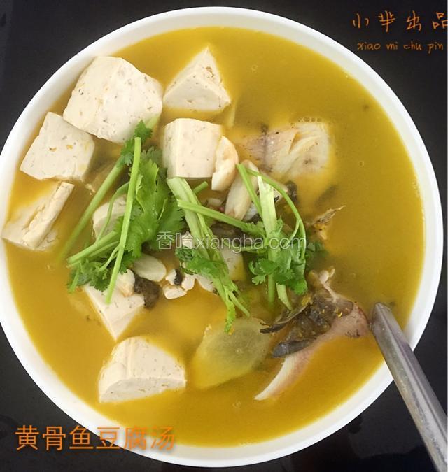 黄骨鱼豆腐汤