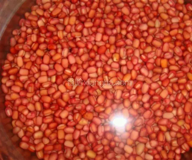 密红豆要先浸泡，最后前一天就浸泡