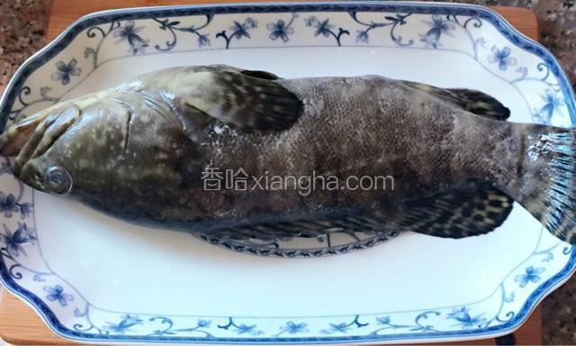 详细处理鱼、其中包括：去除鱼腮、鱼鳞、鱼内脏，在鱼身上划刀痕。