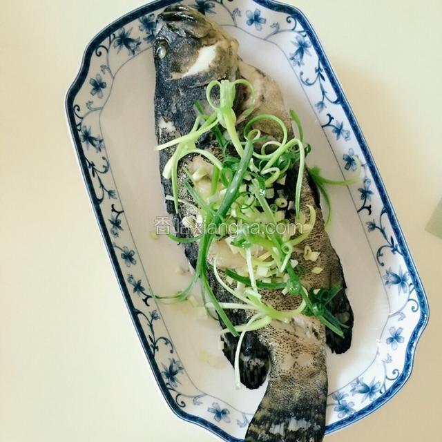 起锅后小心把盘子里多余的水倒掉、把姜丝夹出、铺上葱白、葱青装饰。