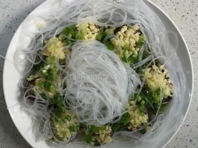 铺上粉丝