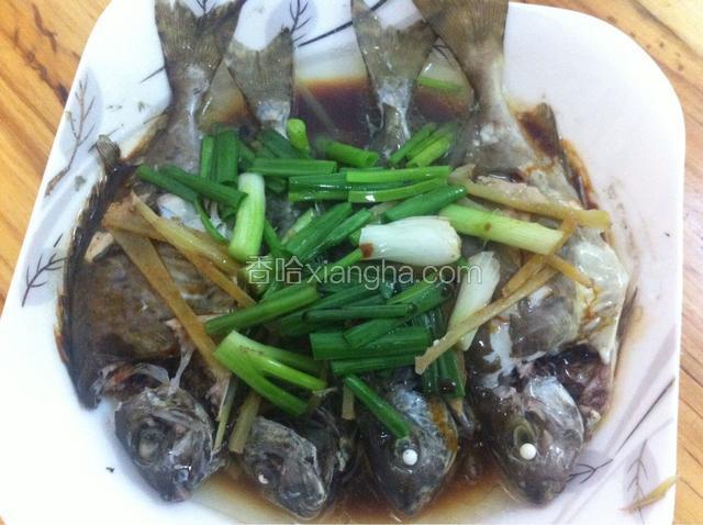 清蒸泥猛鱼