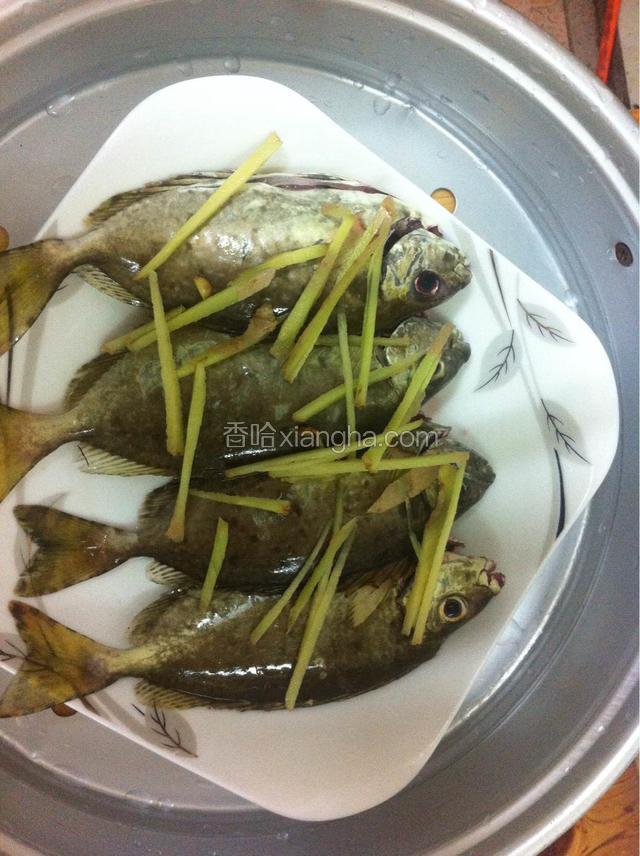 然后在鱼身上撒上姜丝