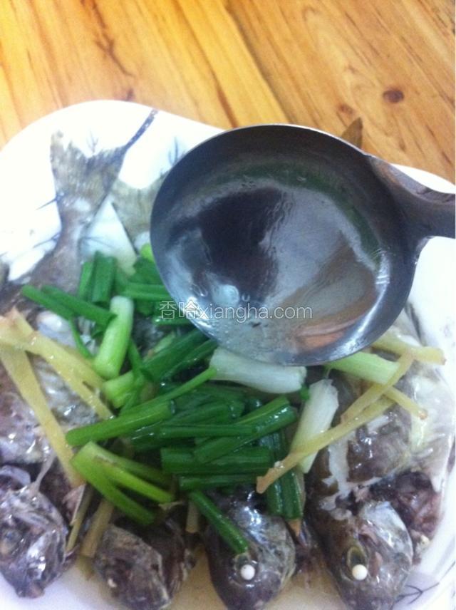 把煎好了的花生油直接浇到鱼身和葱段上