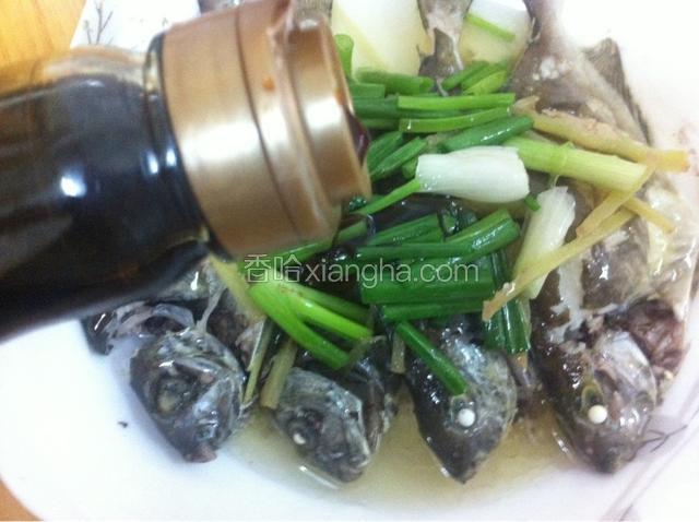 最后浇上适量的生抽酱油，清蒸泥猛鱼就算做好了。