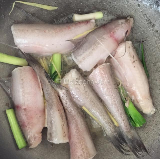起锅热油，下姜丝，蒜骨炒香下九肚鱼
