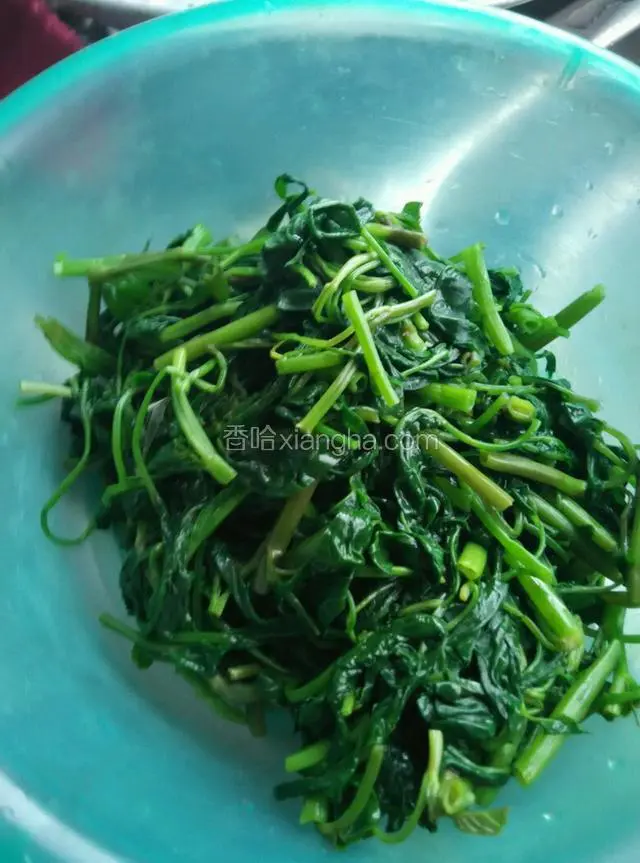 菜熟，控水，凉凉
