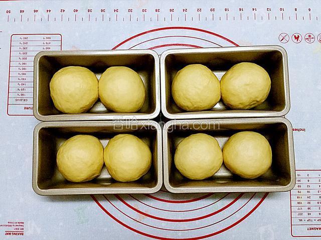 完成好的麵包胚放在模具中，如沒小模具也可放在一個8寸的蛋糕模具或烤盤裡