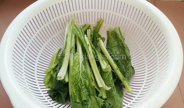 芥菜洗干净，沥干水份。把芥菜茎挑出来。