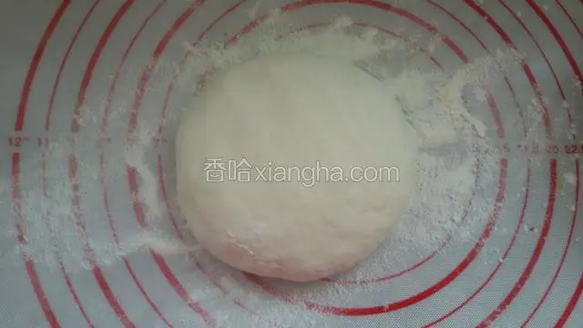 然后放入面板上揉搓圆