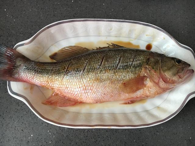 把料酒、蚝油，和适量盐均匀涂抹在鱼身上，里面也要涂抹，