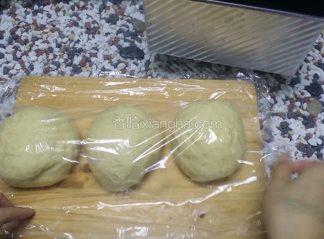 排气后分成三个剂子，盖上保鲜膜松弛20分钟