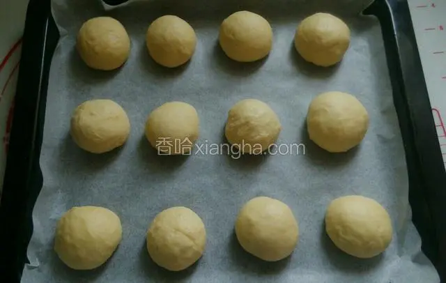 再次滚圆后放入烤盘，并放入烤箱进行二发，同时在烤盘下放入一碗热水增加温度和湿度，以便更好更快的发酵。发酵到两倍大