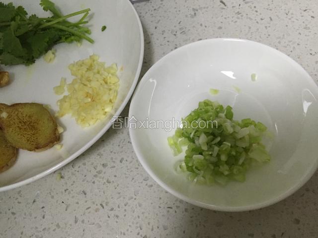大蒜和葱白切末