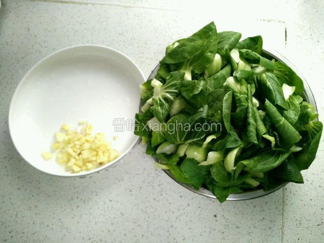 备好图中食材，小白菜，蒜粒。