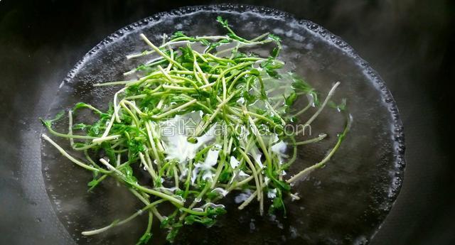 把豌豆苗入开水锅中快速氽烫一下，投入饮用水中过凉备用。