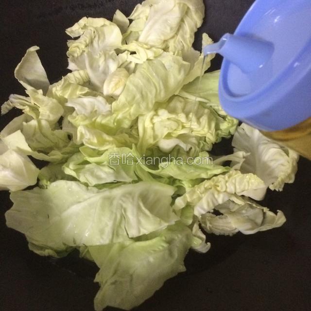 圆白菜洗干净，锅里倒入适量清水，放入圆白菜，倒入适量盐和油…大火把水煮开，煮到圆白菜熟了就可以捞起来…