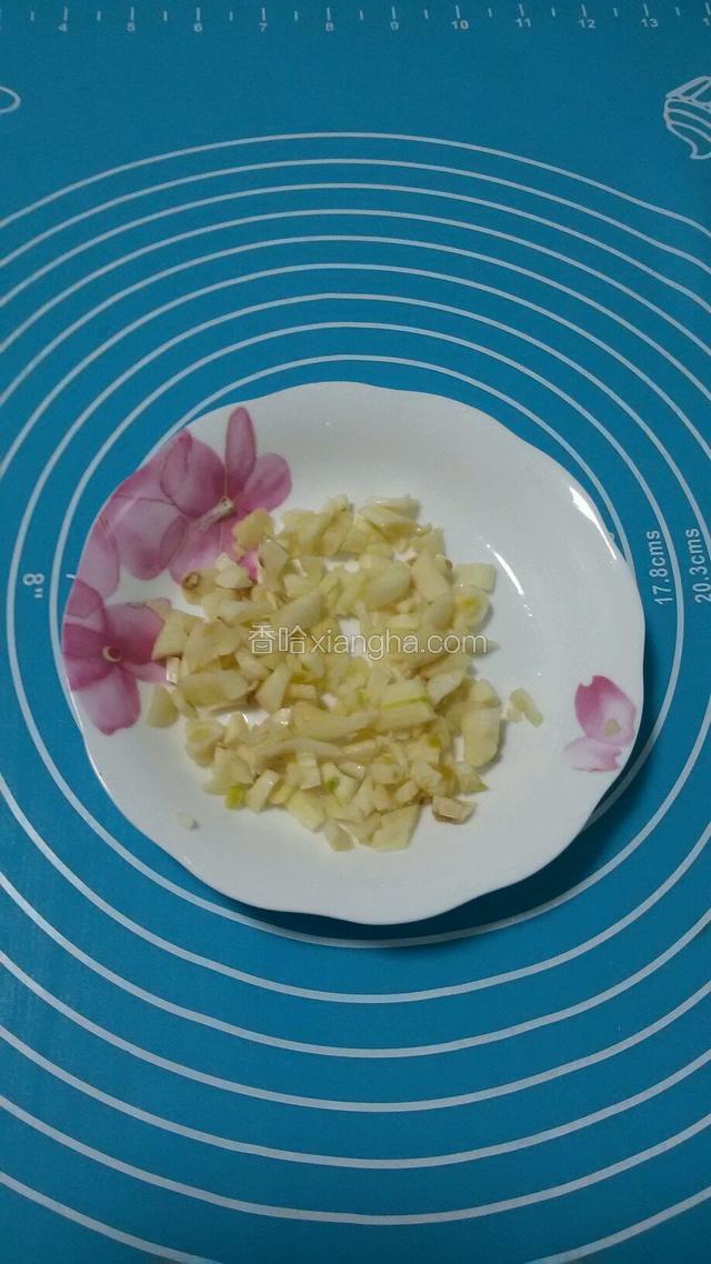 大蒜切碎