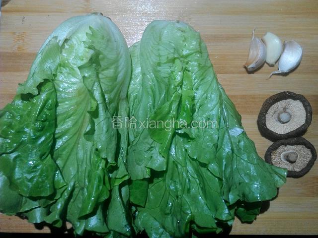 材料生菜、蒜、干香菇