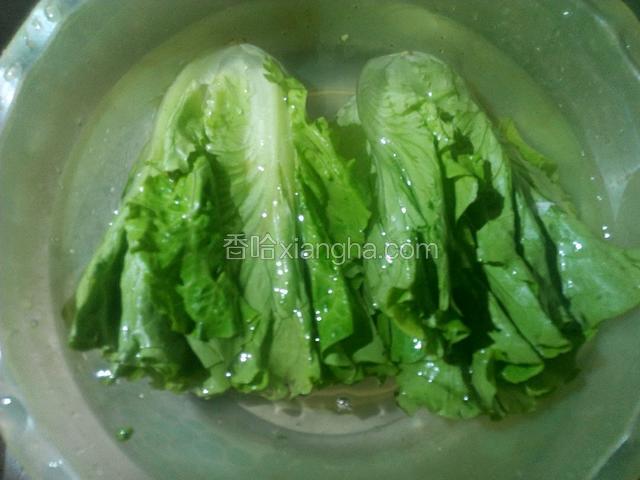 生菜清洗干净