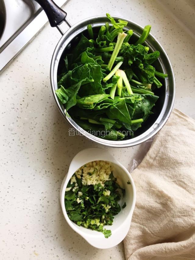 准备的蒜末、菠菜下面时候煮两滚后放菠菜。