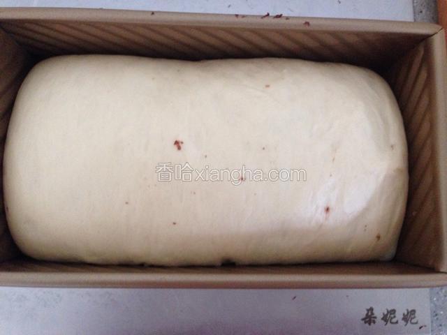 放入烤箱中同时放一碗热水增加温度和湿度。冬天可以开启烤箱发酵功能。发酵至8分满。