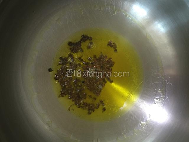 3：锅底留油，将花椒爆香，爆香后将花椒捞出不要。