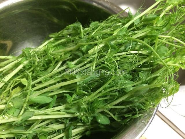 清洗干净，控净水分备用；