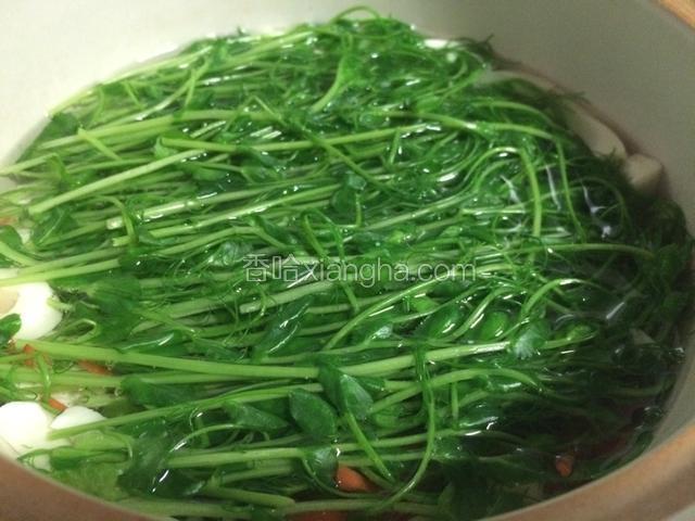 稍稍煮一下，放入豌豆苗；