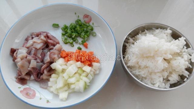 准备好食材，把鱿鱼、洋葱和胡萝卜切丁，切葱花。