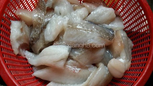 九肚鱼起肉剔除骨，每条切成三段，沥掉水分。