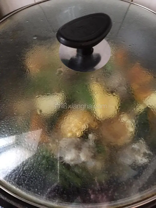 盖上锅盖大火烧开转中小火炖至汤汁减少一半，放入食盐继续炖至汤汁浓稠关火。