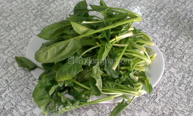 菠菜摘洗干净