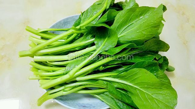 把菜心清洗干净