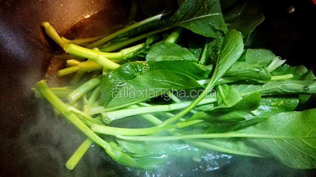 水煮开了放点油，盐，把菜心放进去